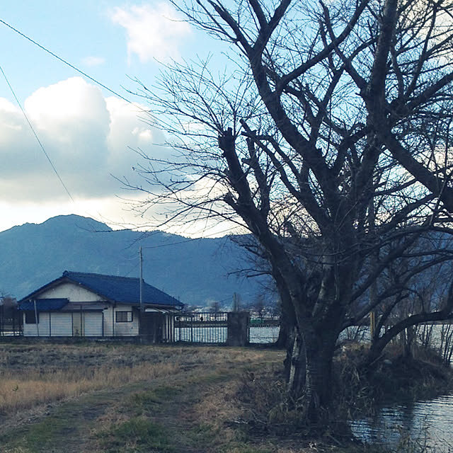 Hirakoさんの実例写真