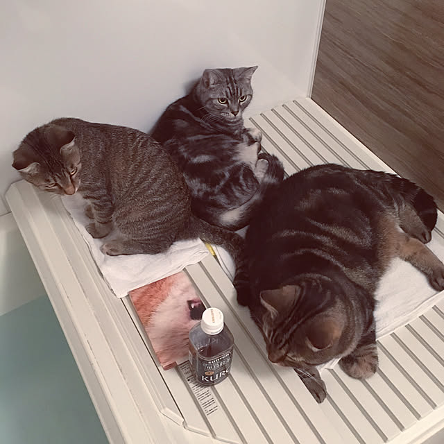 mikomaruさんの実例写真