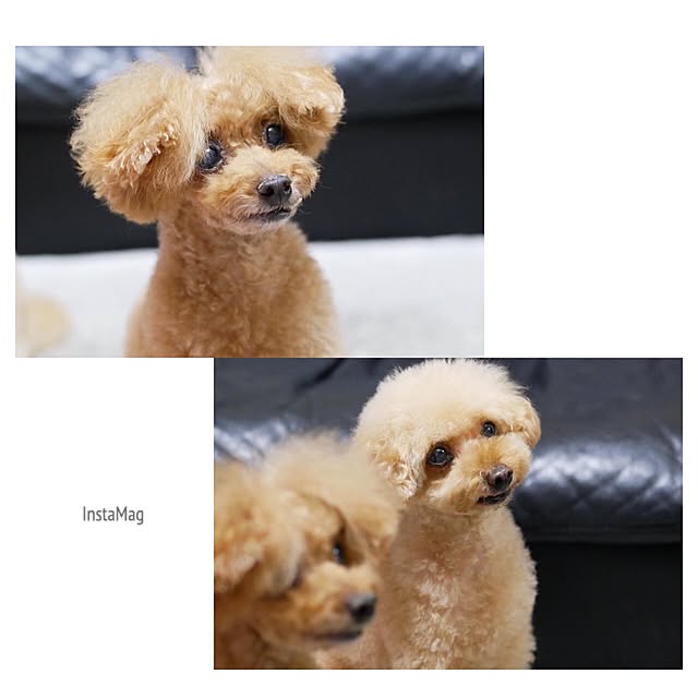hirorinkotoさんの実例写真