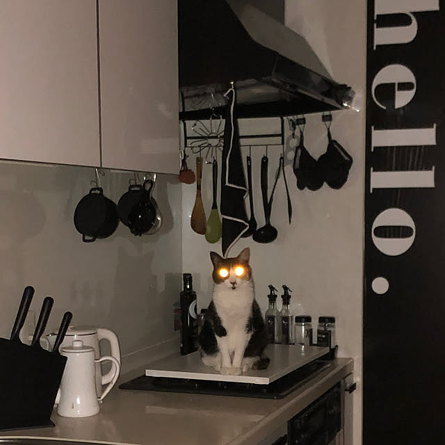 aoiさんの実例写真