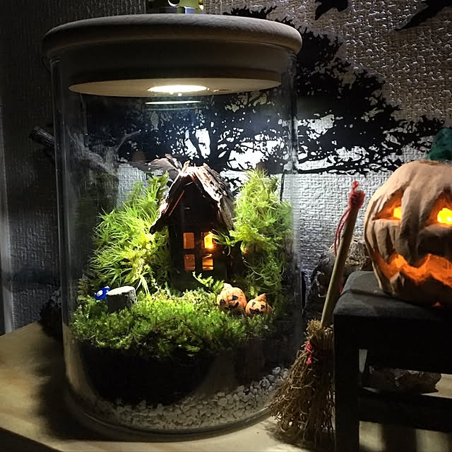 mosslightさんの実例写真
