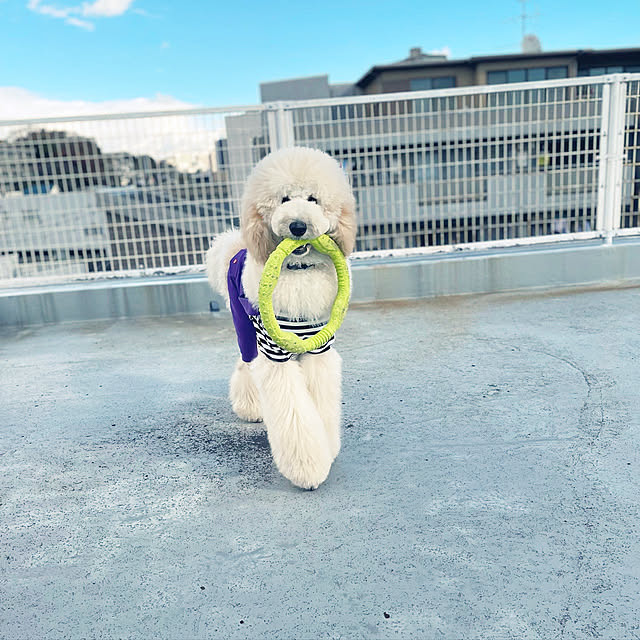 nackeyさんの実例写真