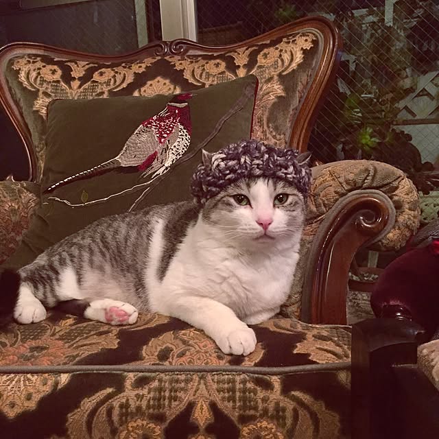 emmyyさんの実例写真