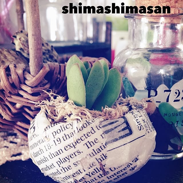 shimashimaさんの実例写真