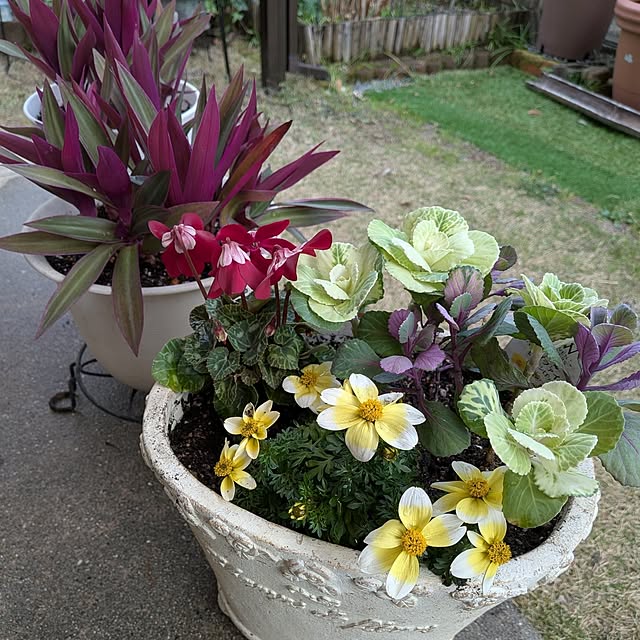 Renさんの実例写真