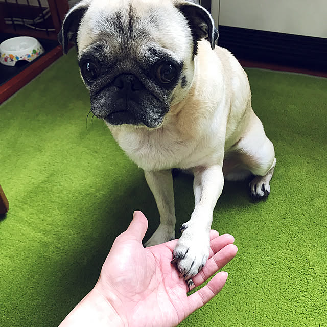 kellyさんの実例写真
