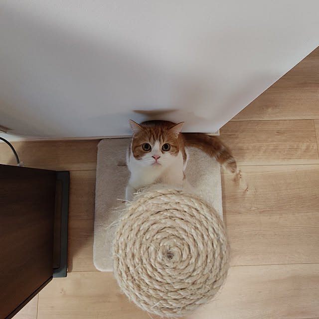 Coney_Island_NYさんの実例写真