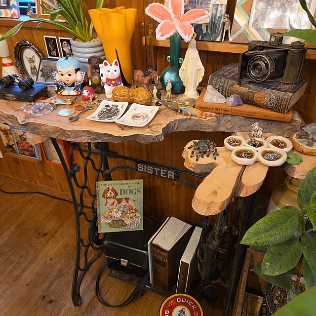 実例写真