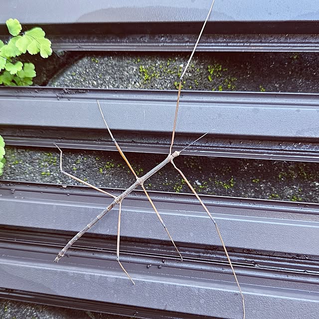 mocomocoさんの部屋