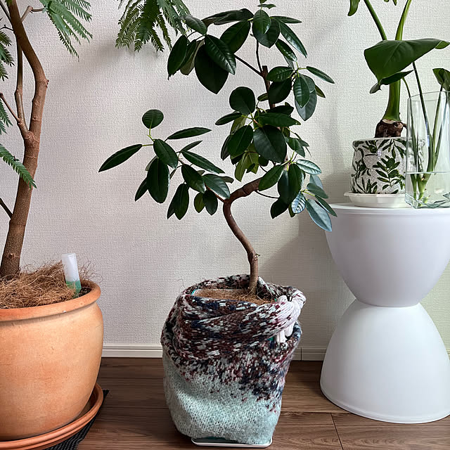 miichanさんの部屋