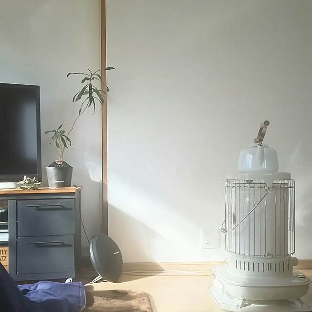 arioさんの実例写真