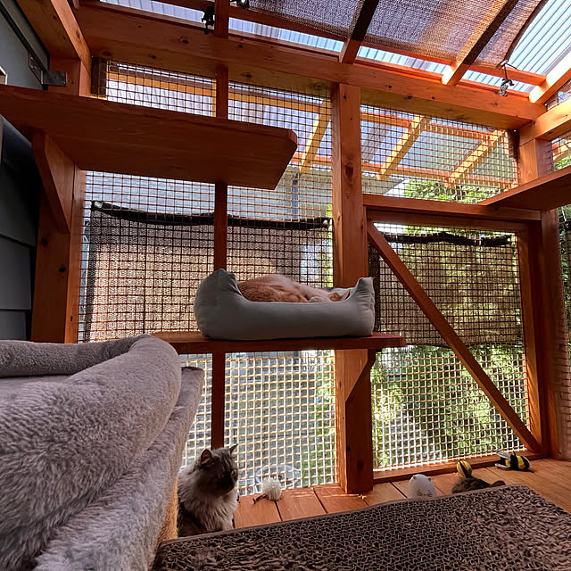 Naoki.さんの実例写真