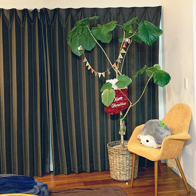 micaさんの実例写真