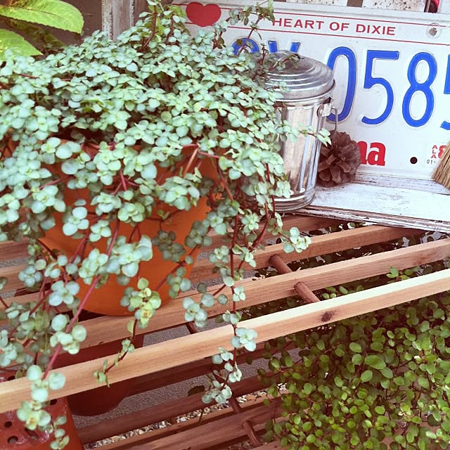 rinさんの実例写真