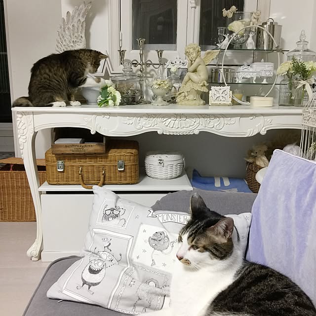 yuchiさんの実例写真