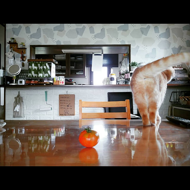 mntcさんの実例写真