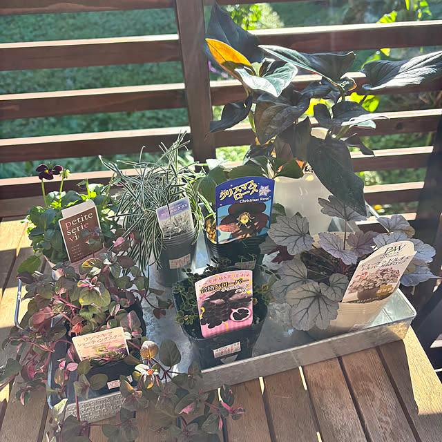 kyoko1124koさんの部屋