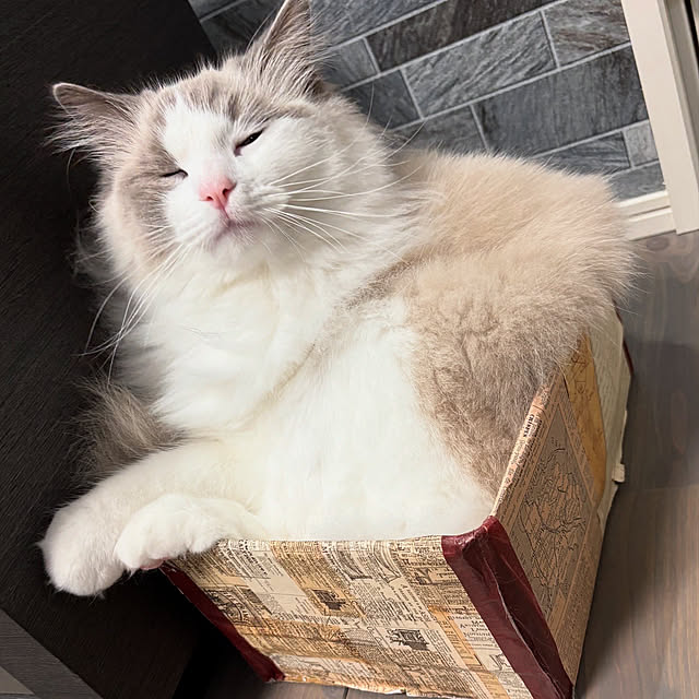 tasoさんの部屋