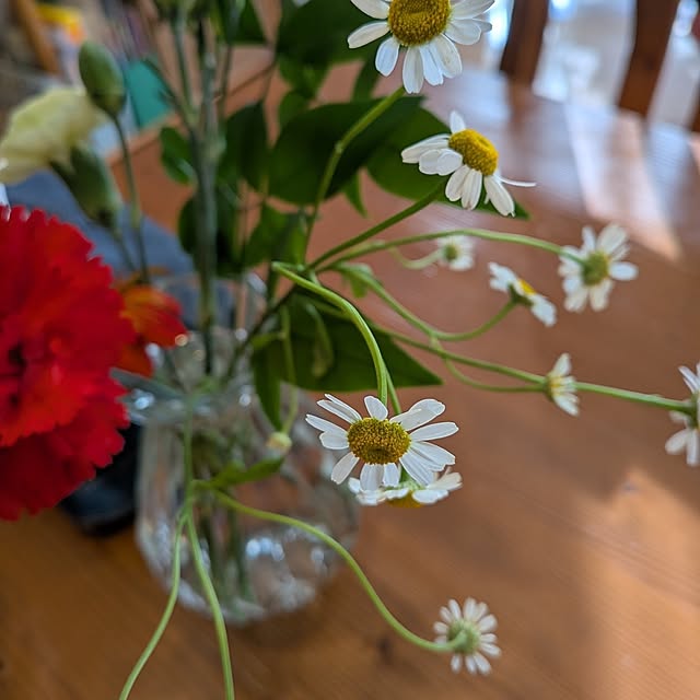 momomo7さんの実例写真