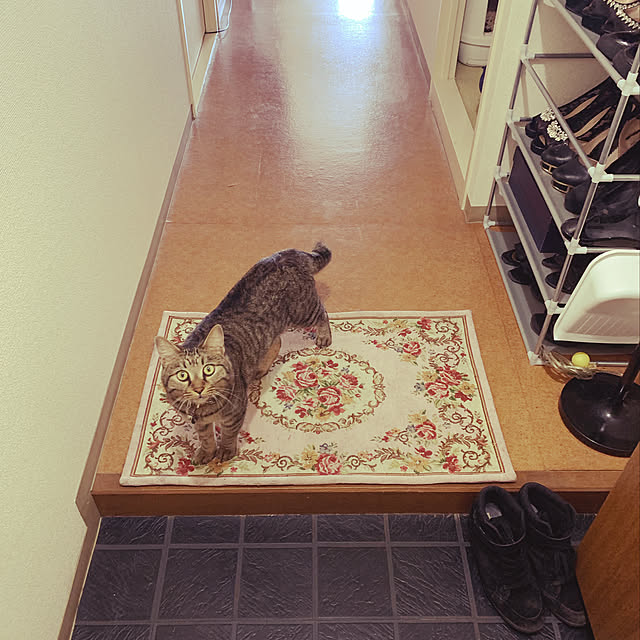 実例写真