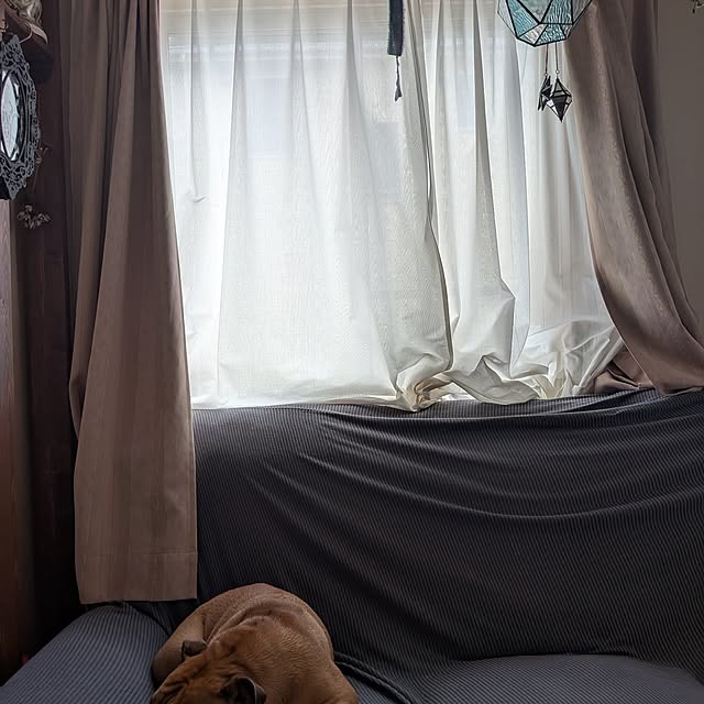 chi_gogaさんの部屋