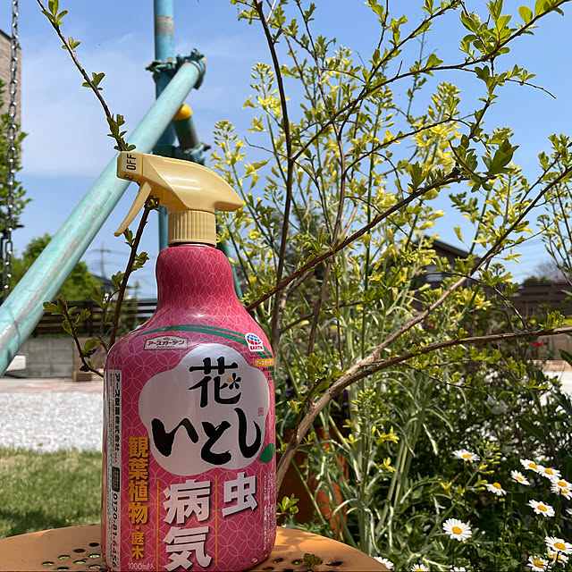 ronronさんの実例写真