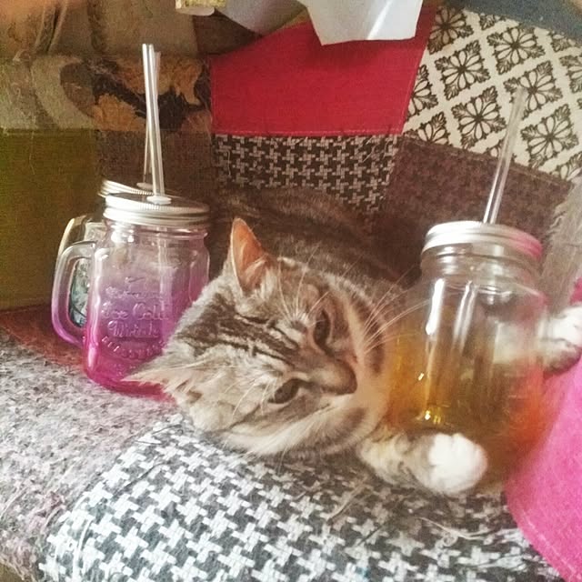 annさんの実例写真