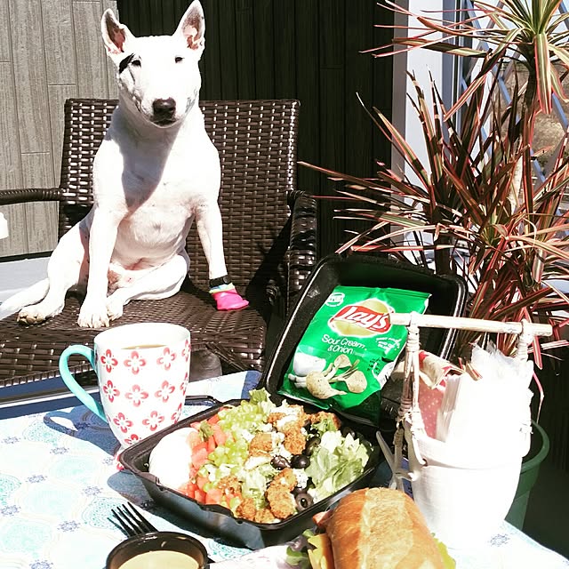 kimuneisanさんの実例写真