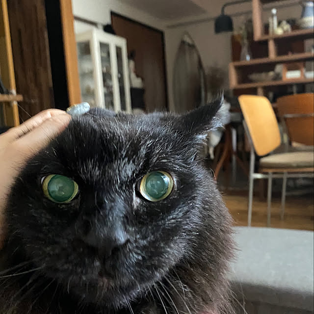 puffloveさんの実例写真