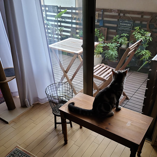 lovepeaceさんの実例写真