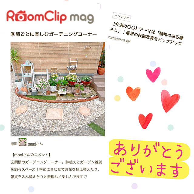 moolさんの実例写真