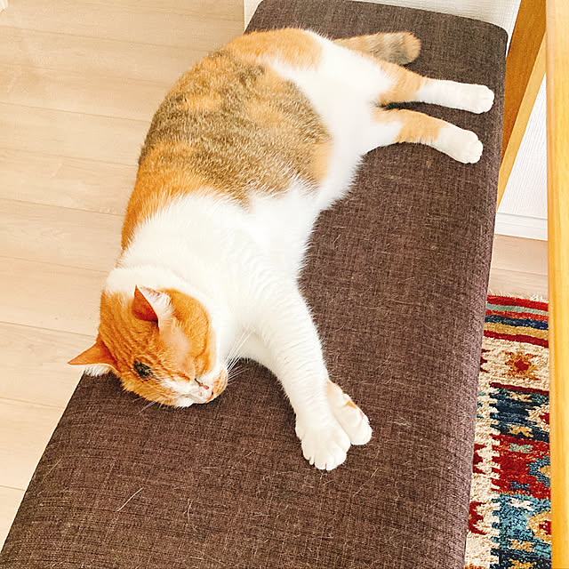 mariさんの実例写真