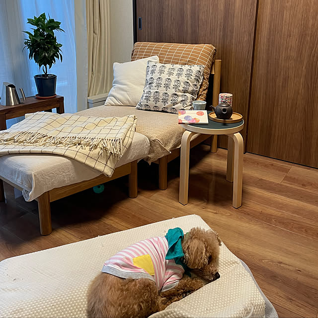 ponさんの部屋