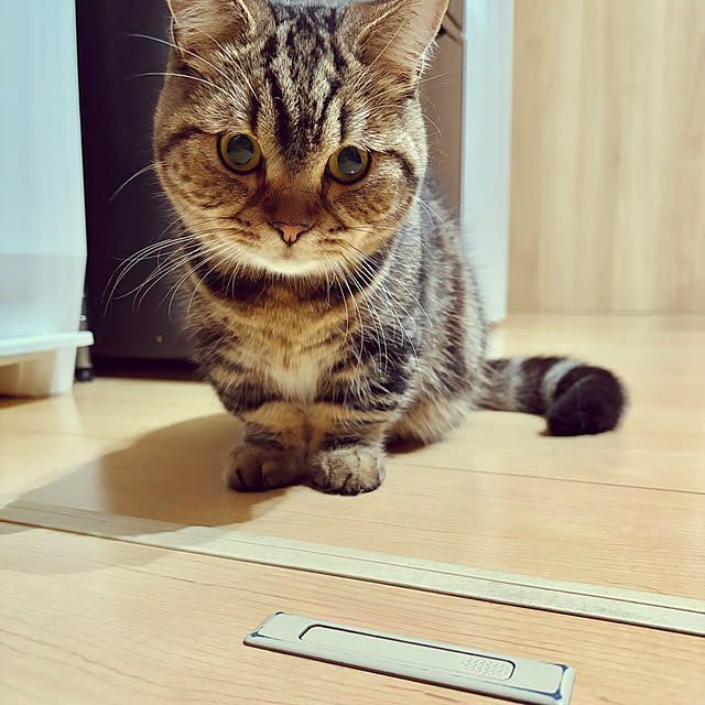 chiiさんの実例写真