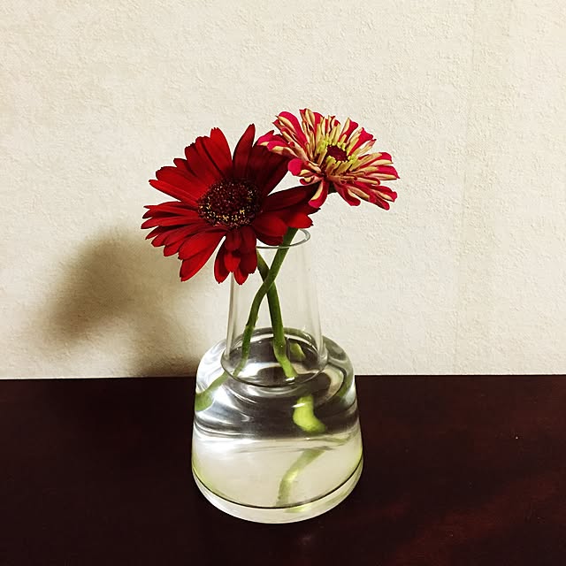 maru_a_gogoさんの実例写真