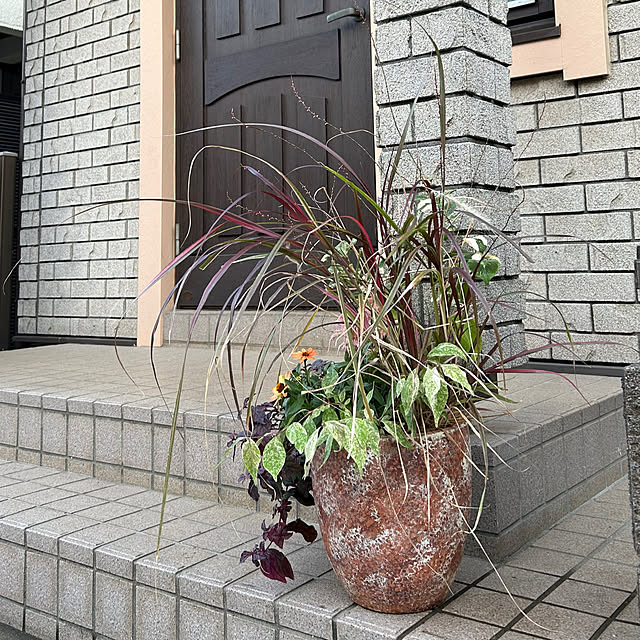botanさんの実例写真