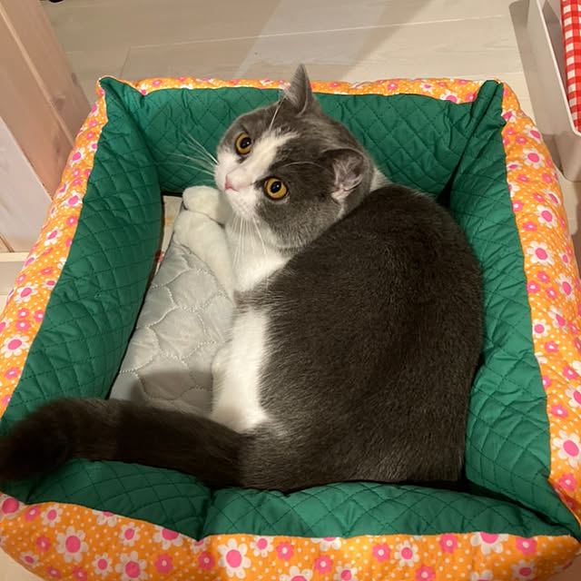 Riccoさんの実例写真