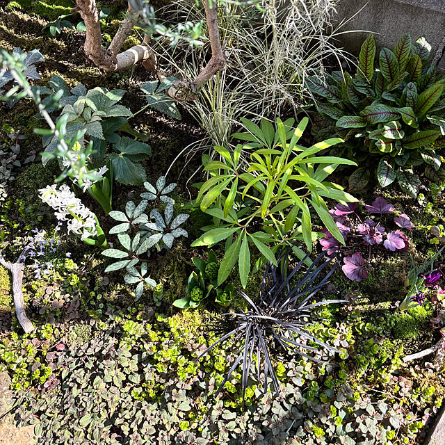 kyoko1124koさんの部屋