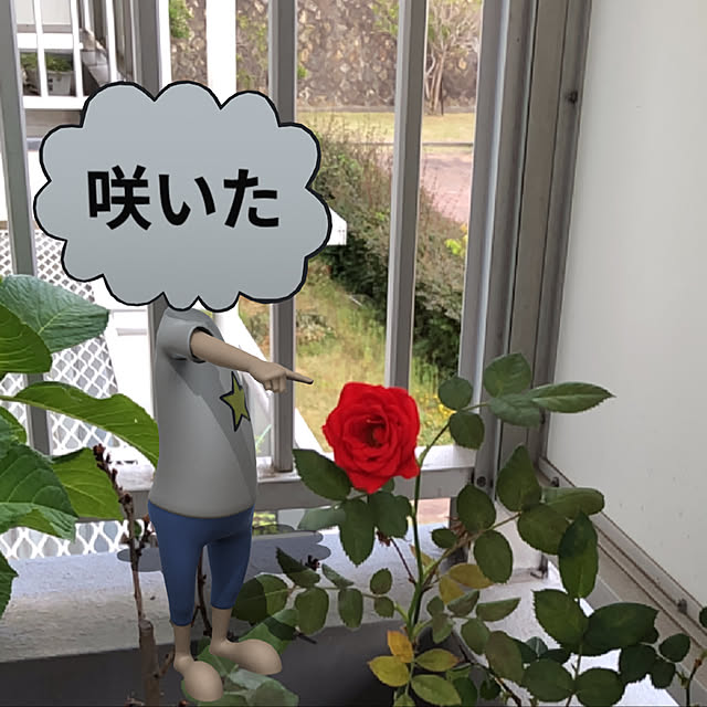 Hiroさんの実例写真