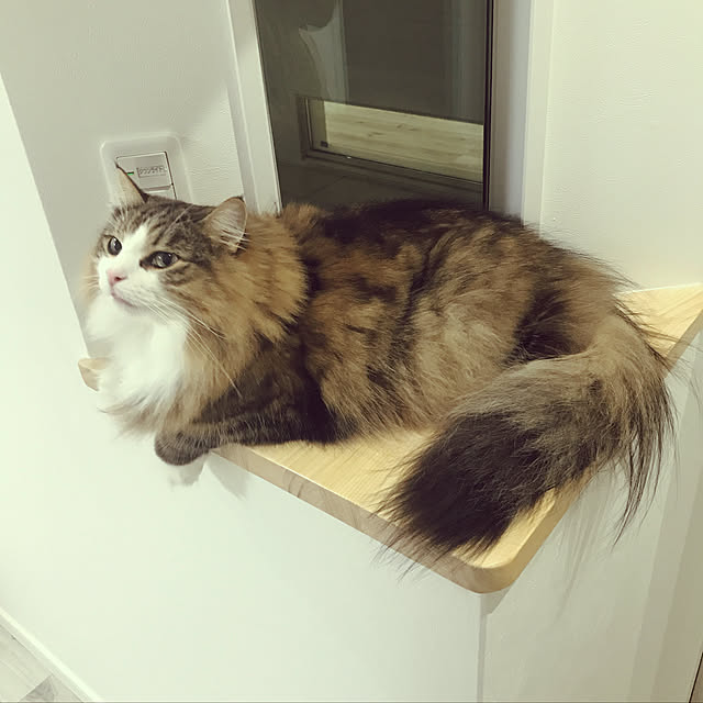 norfraさんの実例写真
