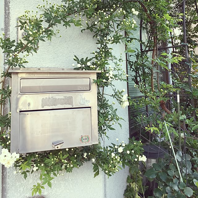 greenroseさんの実例写真