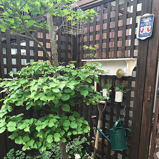 mi-haruさんの実例写真