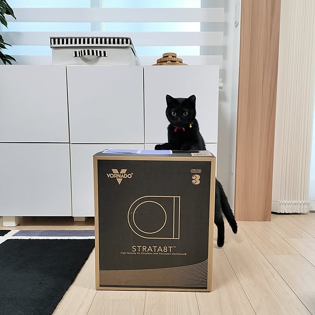 sakuraさんの部屋
