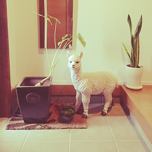 Ayakaさんの実例写真