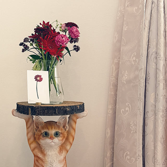 jucakikkaさんの実例写真