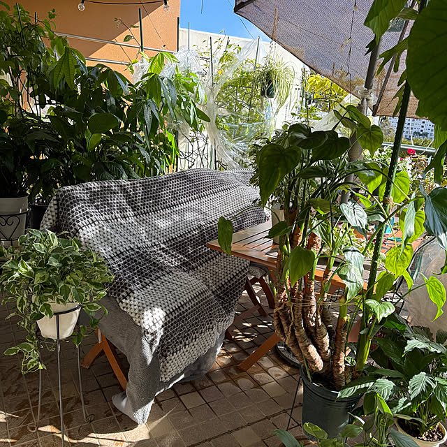 Aqettyさんの部屋