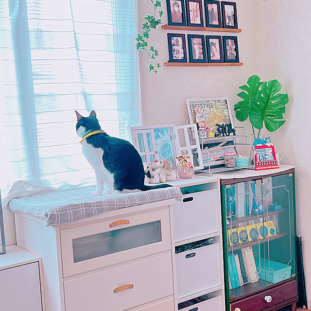 moolさんの部屋