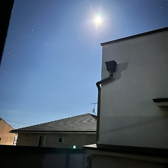 akaidarumaさんの部屋