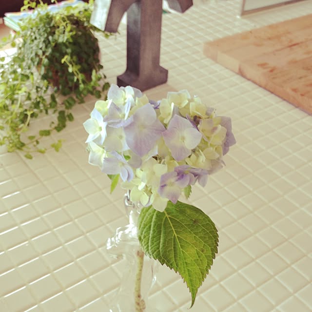 nozomi_さんの実例写真