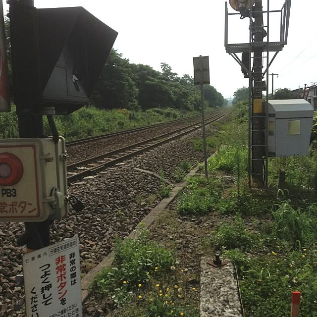 chocolateさんの実例写真